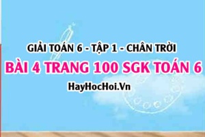 Giải bài 4 trang 100 Toán 6 Tập 1 SGK Chân trời sáng tạo